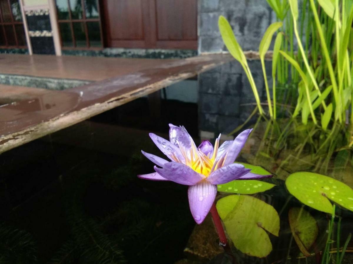 Northstar Hotel & Resort Ban Mae Kon Luaran gambar